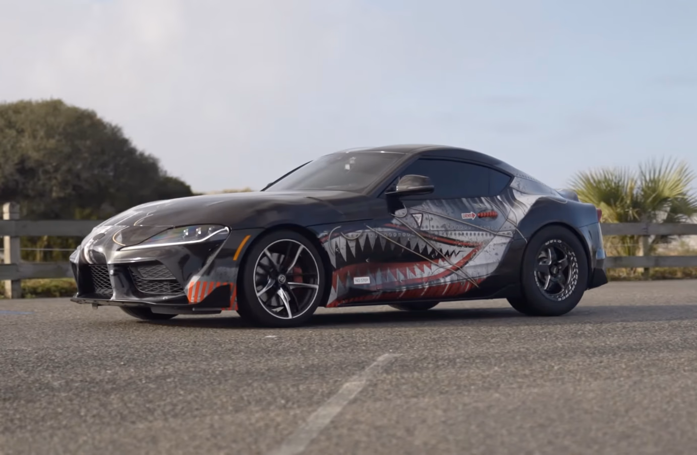 Shark Tooth Supra