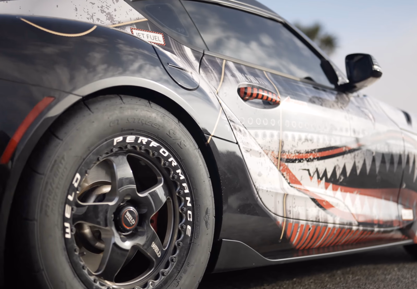 Shark Tooth Supra