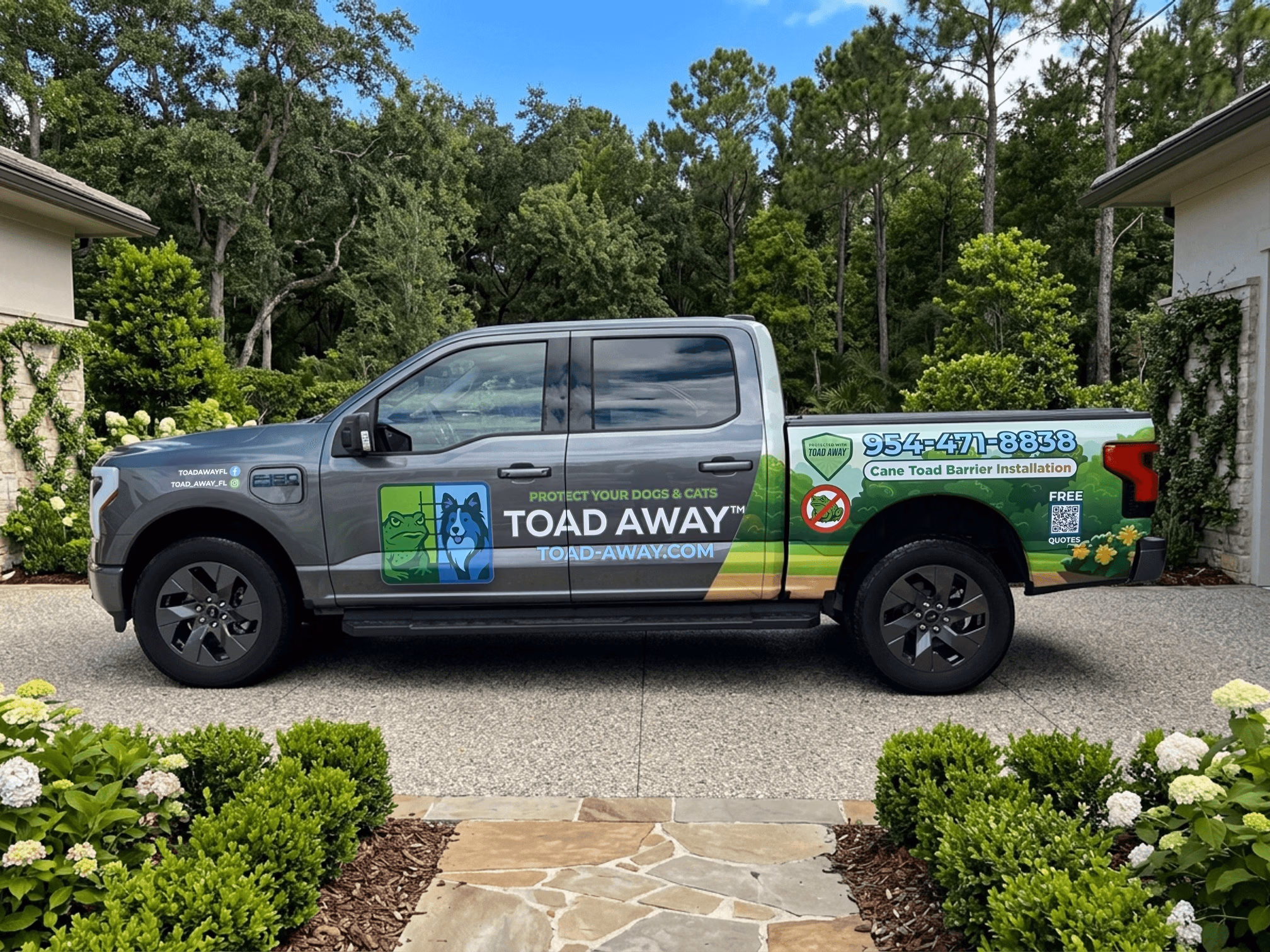 Toad Away